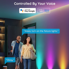 Smart Wall Light BD043