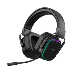 Rapoo Headphone VH850
