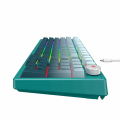 HAVIT Mechanical Keyboard KB899L